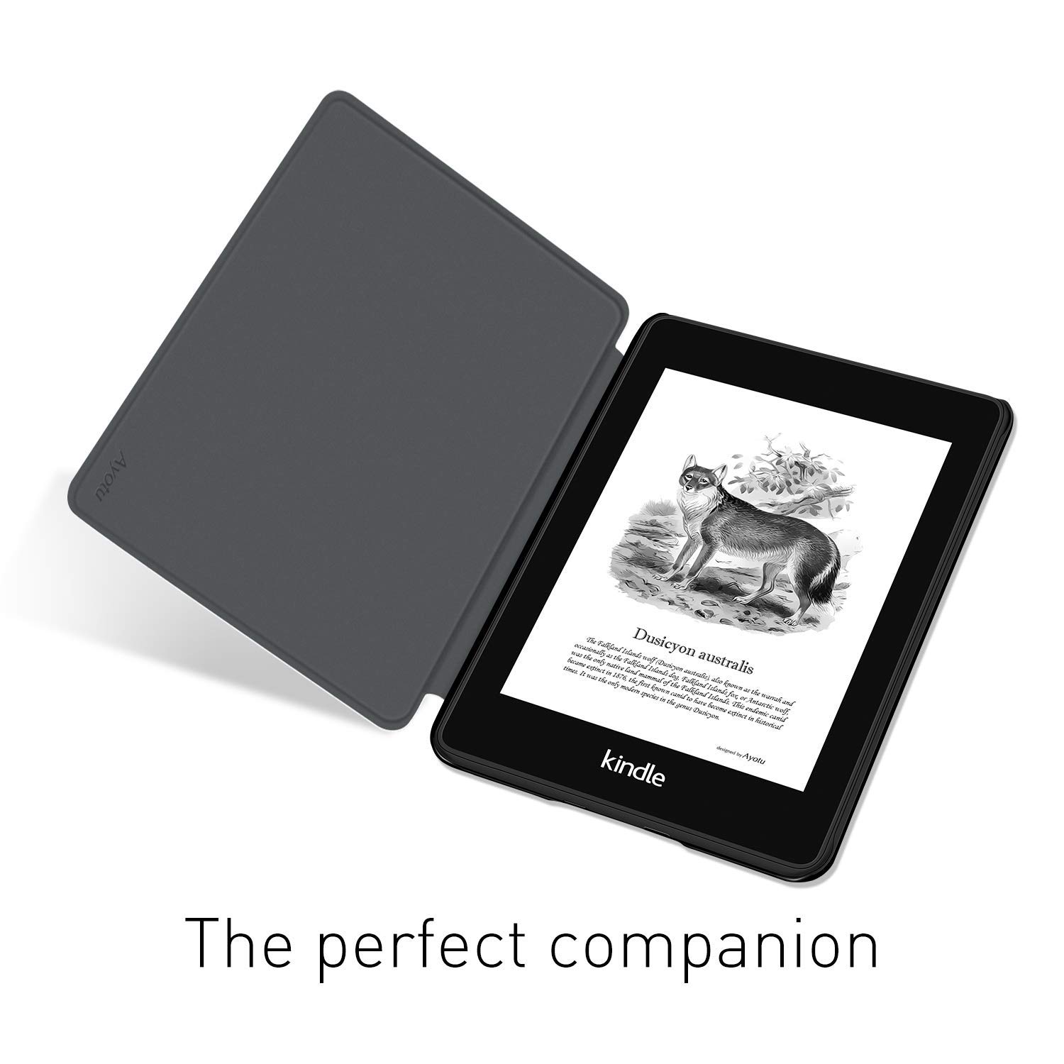 Per Kindle Paperwhite 5/6/7th  - Kindle Tablet Accessories recensione e prezzo